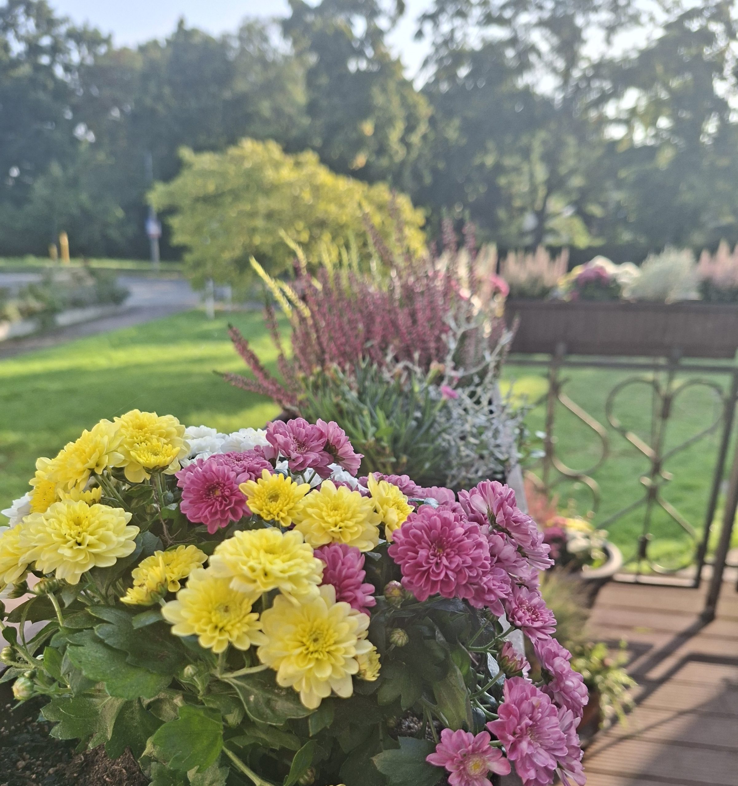 Der Herbst hält Einzug